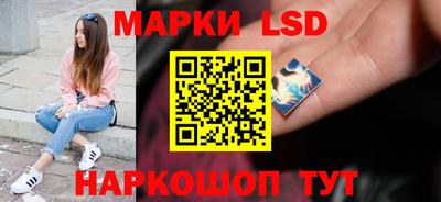 шишки Кингисепп