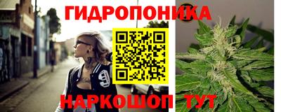 spice Кинель