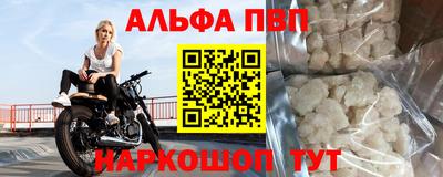 шишки Кингисепп