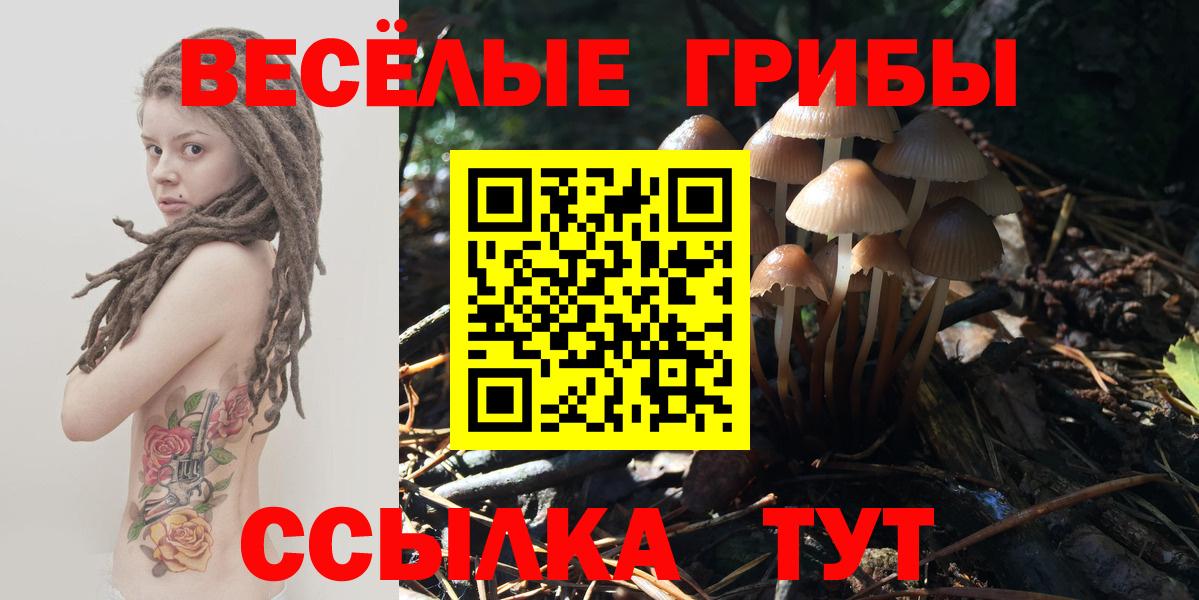 Владикавказ  Псилоцибиновые грибы Psilocybine cubensis  Вход с VPN 